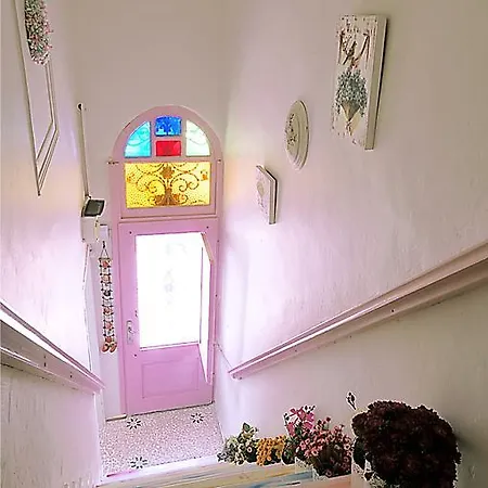 Kiraz Cicegi Ayvalı