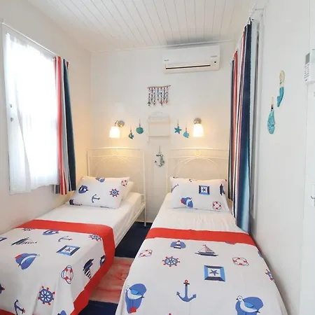 Kiraz Cicegi Ayvalı